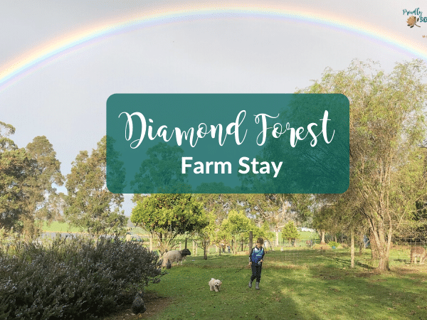 Diamond Forest Farm Stay - Proudly South African In Perth