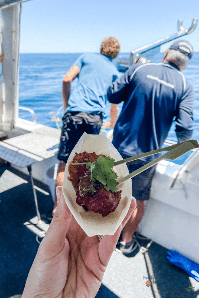 Food on the Rottnest Cruises Seafood Cruise 