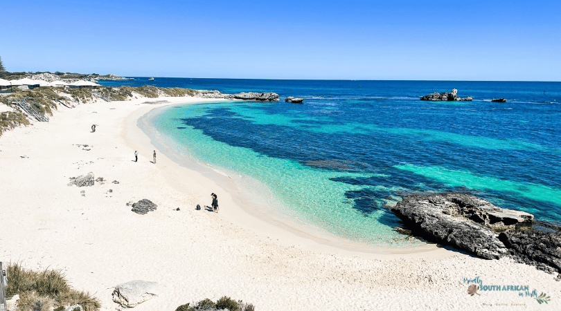 Visit Rottnest Island - Everything You Need To Know About Visiting