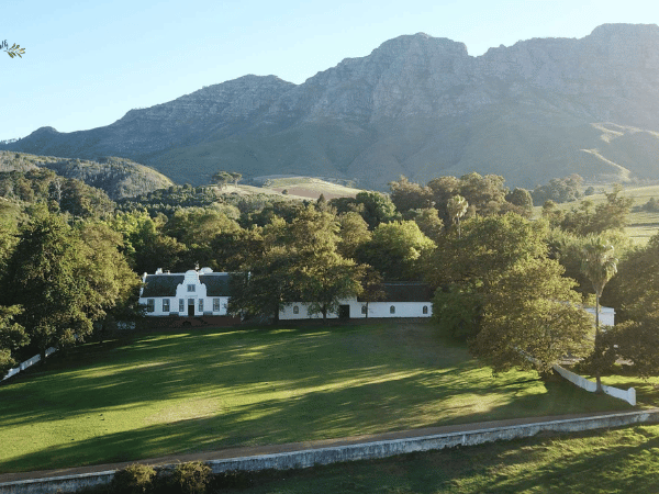 rustenberg wines and remhoogte wine estate